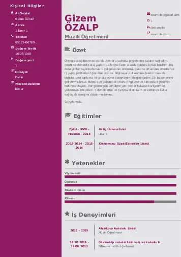 Müzik Öğretmeni Cv Örnekleri cv indir